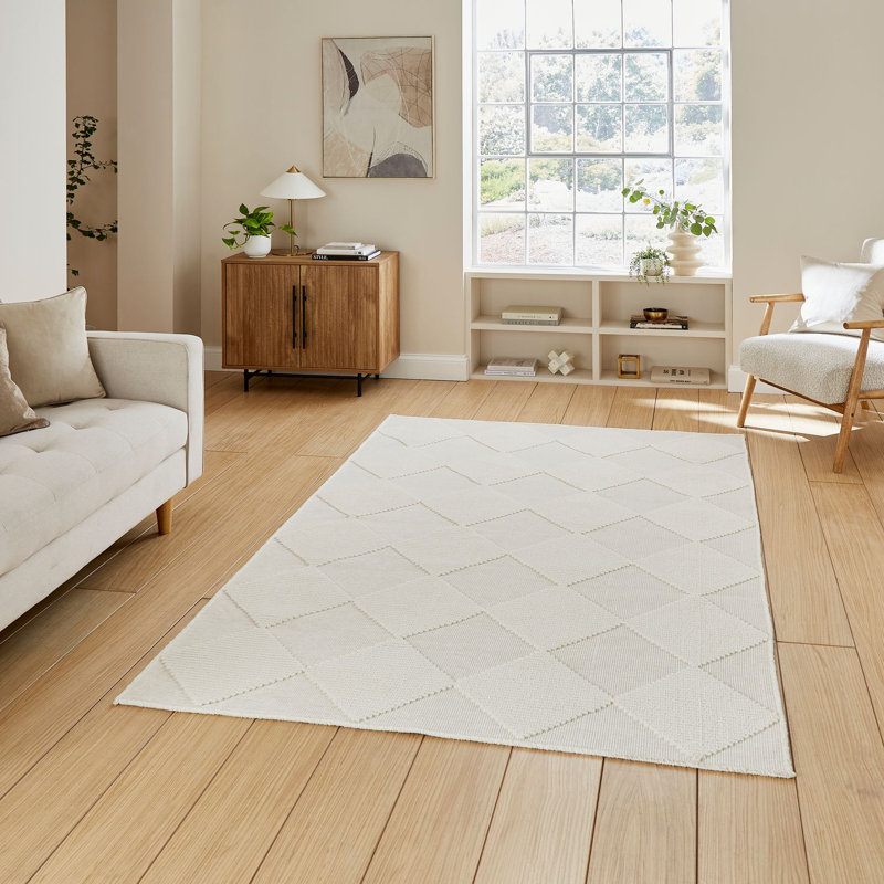 Rumessa Shag 80cm X 150cm Area Rug