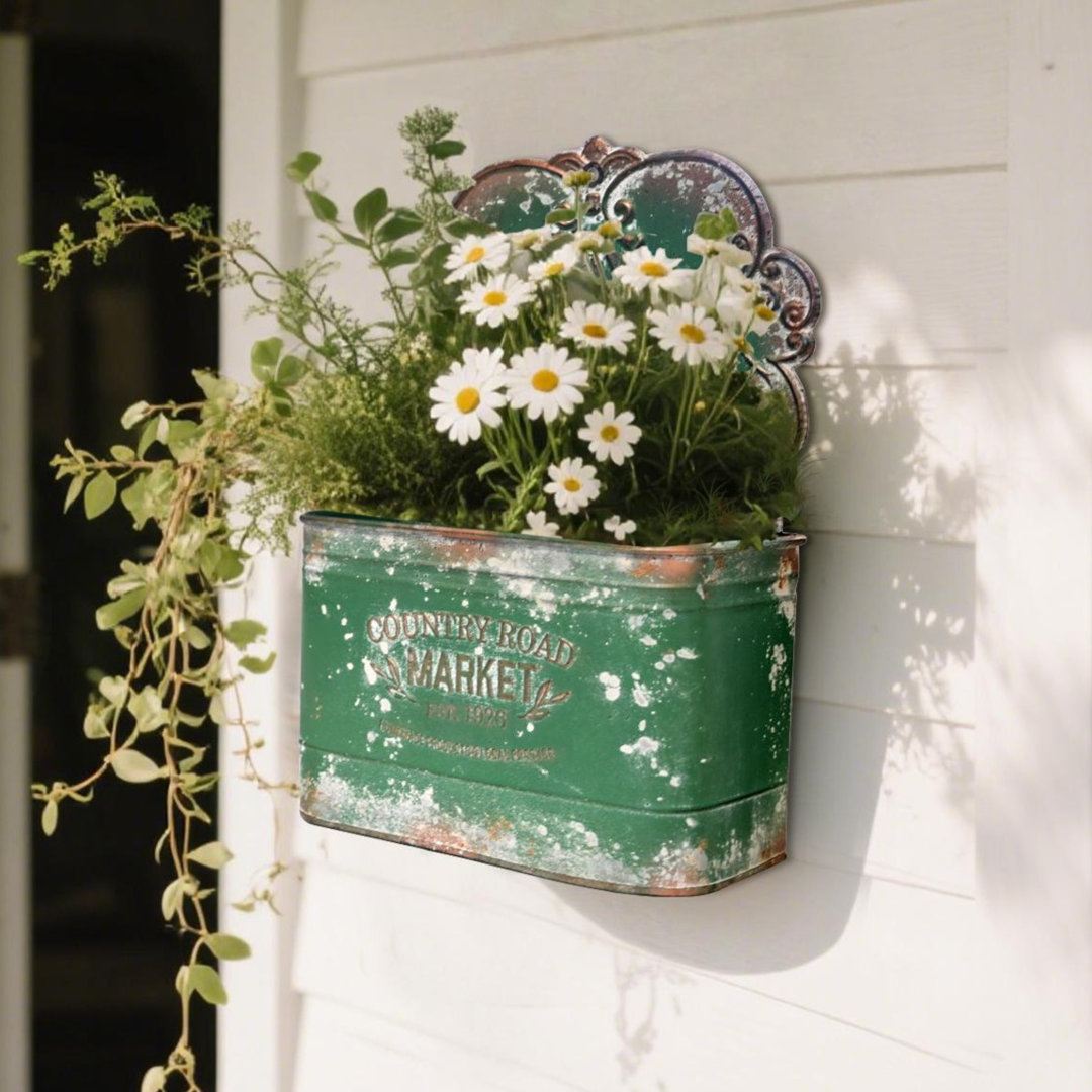 Romsey Vintage Metal Wall Planter for Outdoor/Indoor Plants East Urban Home