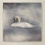 «Swan Storm» de Vidur, impression sur toile tendue-22075634