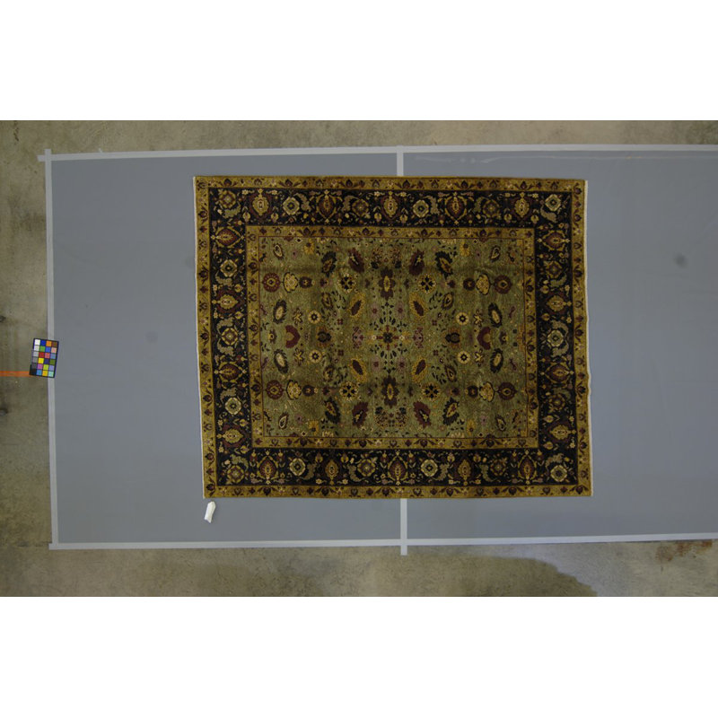 Jasmine Wool Oriental Area Rug in Black/Green, Rectangle 9' x 12'