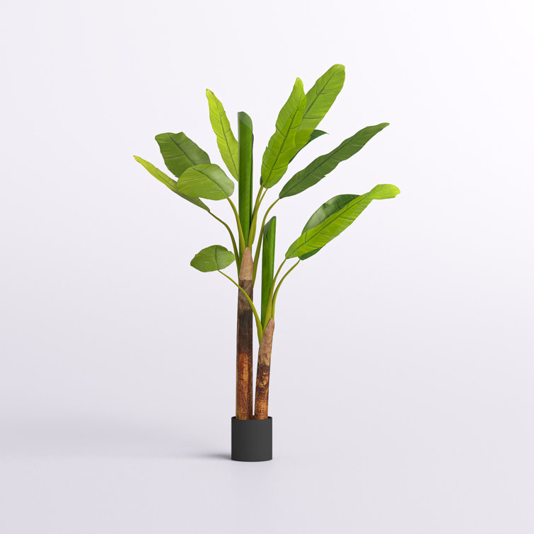 https://assets.wfcdn.com/im/26844345/resize-h755-w755%5Ecompr-r85/2585/258526266/64%22+Artificial+Banana+Leaf+Plant+in+Pot.jpg