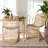 Bali & Pari Rosalba Bohemian Light Honey Rattan 2-Piece S-Curve Dining Chair Set