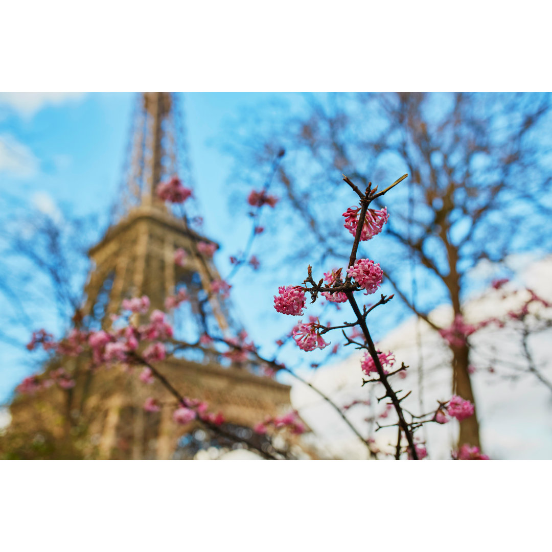 Frühling in Paris, Frankreich - Leinwandbild