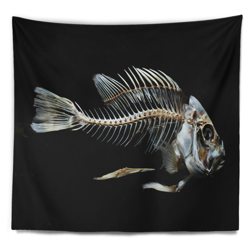 Squelette de poisson sur une tapisserie noire, H 32 po x l 39 po