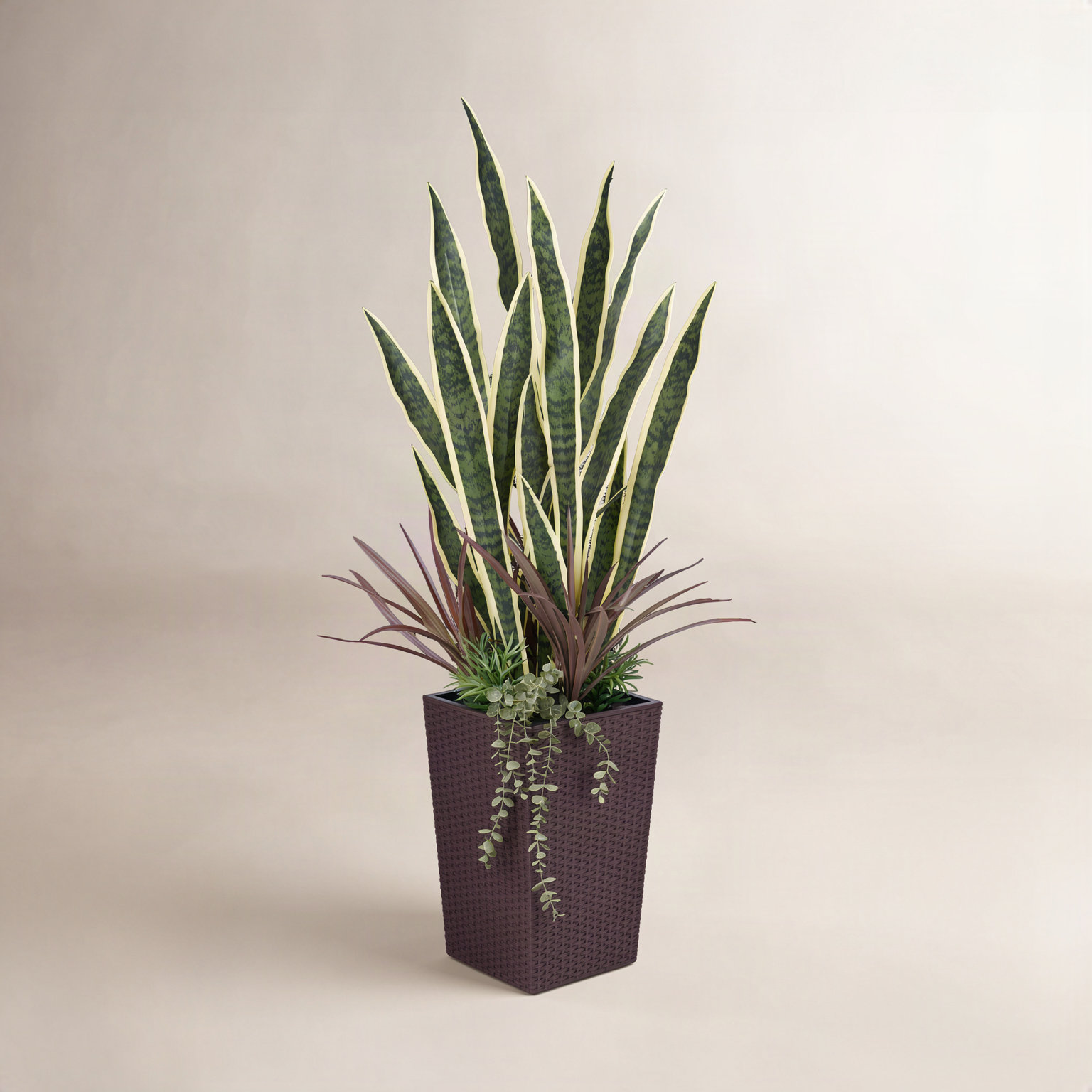 Adcock 48" Snake Plant in Decorative Vase, Brown