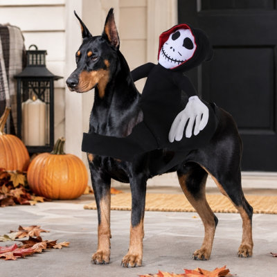 Déguisement de squelette d'Halloween pour chien