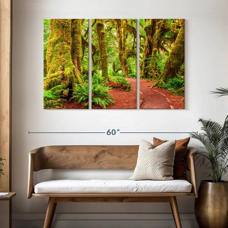 Mossy Hoh Rainforest Trees, H 32 po x l 50 po