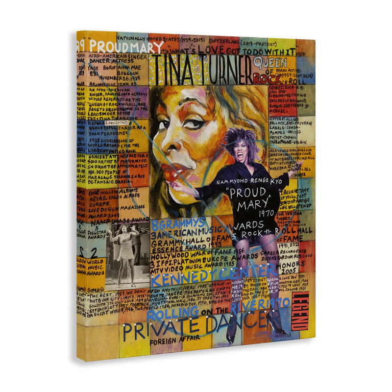 "Tina Turner", art mural sur toile par Sabin, H 20 po x l 16 po