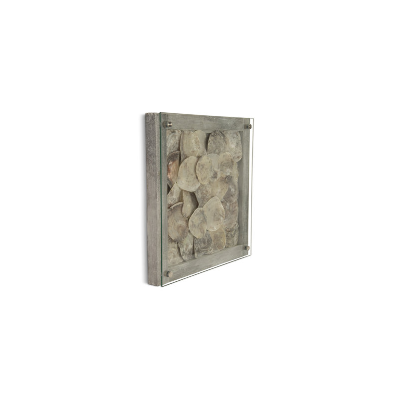 Dimensional Shell Wall Décor