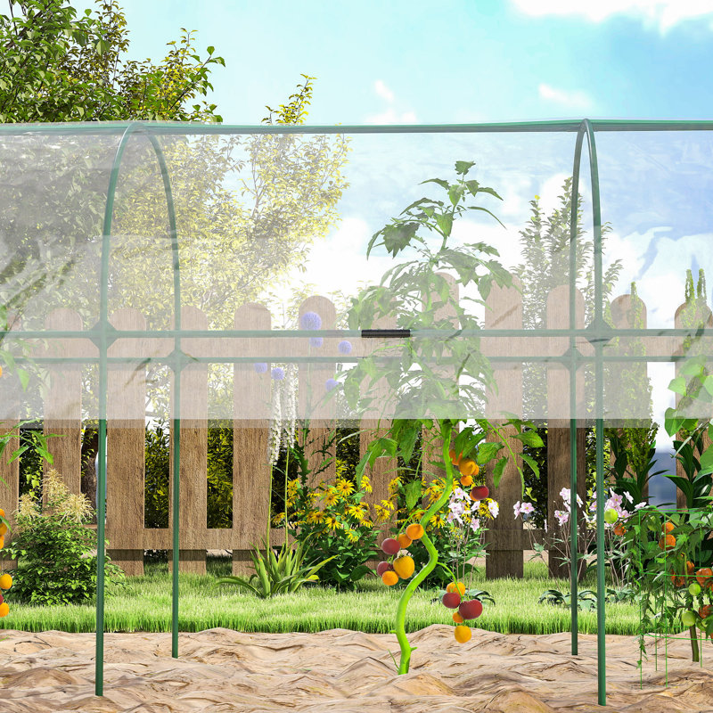 Tunnel Tomato Greenhouse with 4 Hoops and Top Tap, Pointed Bottom and Guy Ropes, 400 x 123 x 171 cm