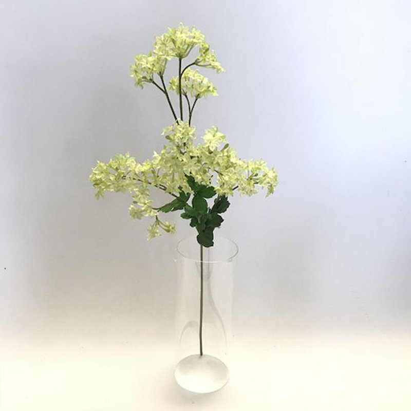 Arrangement floral Alchemilla Mollis dans un vase