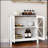 Kitchen cabinet with double glass doors