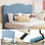 Structure de lit tapissier avec 2 tiroirs, lit simple en velours-129445159-129445162
