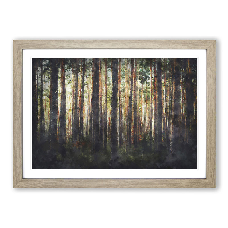 Pine Tree Forest In Spring - Single Picture Frame Print on MDF, 24cm H x 33cm W x 2cm D, Oak