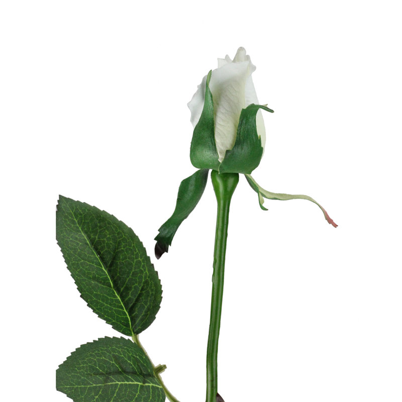 Rose Arrangement