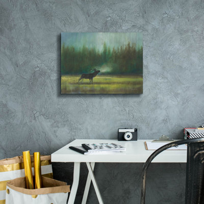 Epic Graffiti 'Voice Of The Wild'  by Danhui Nai Canvas Wall Art