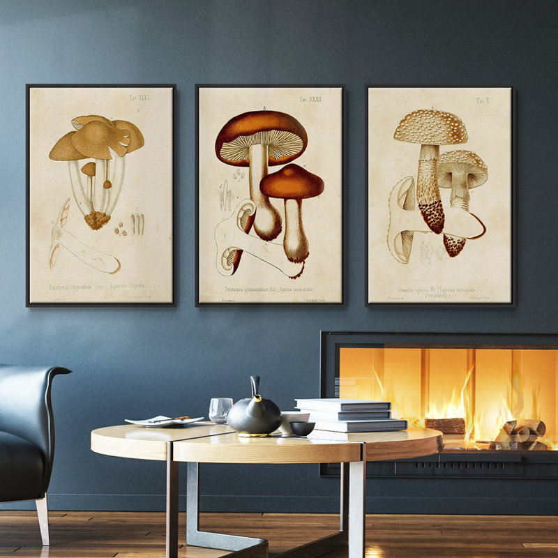 Ensemble de 3 pièces champignon V Variétés encadrées sur toile, H 27 po x l 54 po, Noir