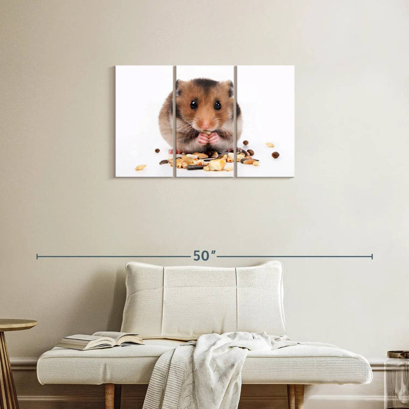Hamster Eating Nuts And Seeds