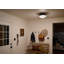 Zabir Glass Flush Mount-1161363038