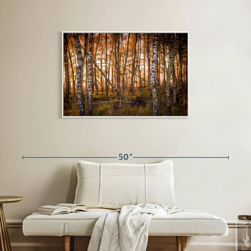 Forêt de bouleaux sombre, Cadre flottant blanc, 37 po x 25 po