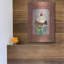 «Fiona Stokes-gilbert-ali_parlor Ice Cream 4» par Fiona Stokes-Gilbert, art mural en métal, 12 po x 16 po-1601128309