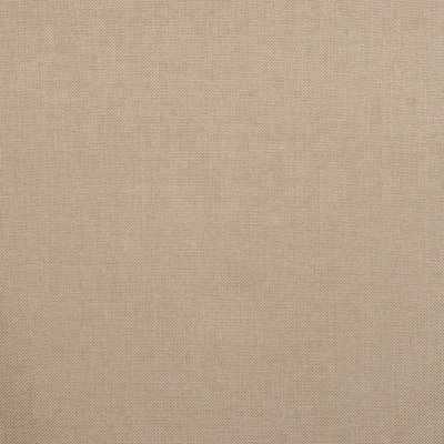 Allure Fabric