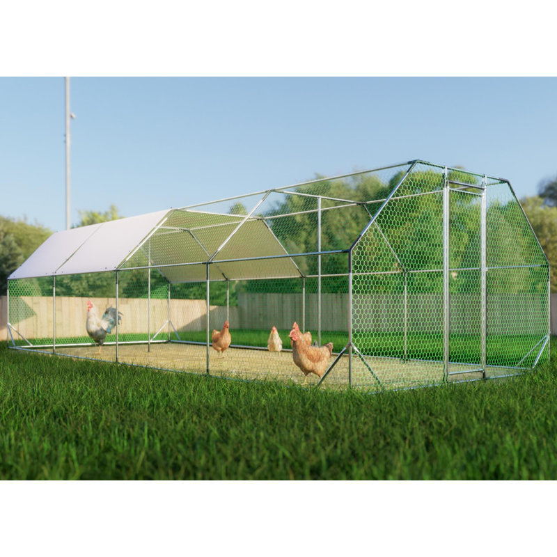 Cage à poulailler galvanisée