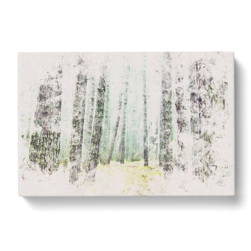 View Of A Pine Tree Forest - Wrapped Canvas Print, 40cm H x 60cm W x 3cm D