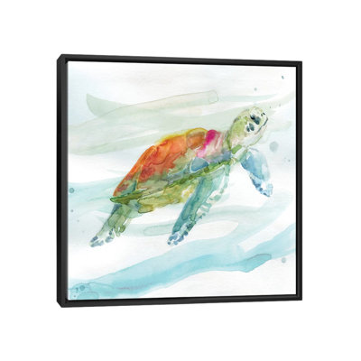 Tortue des tropiques I