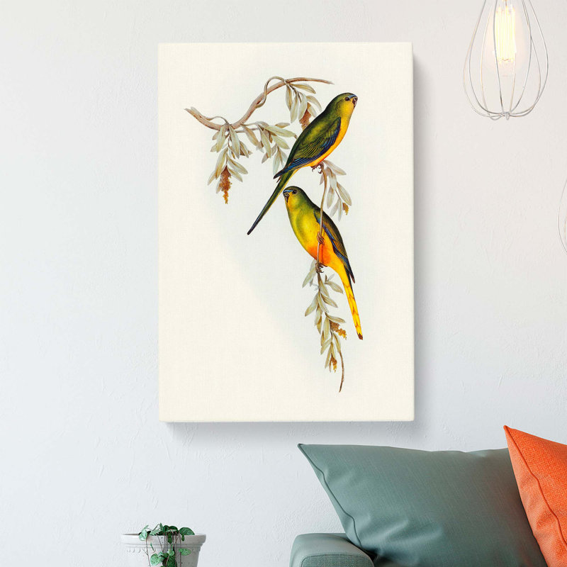 Orange-Bellied Grass-Parakeets by Elizabeth Gould - Wrapped Canvas, 76cm H x 50cm W x 3cm D