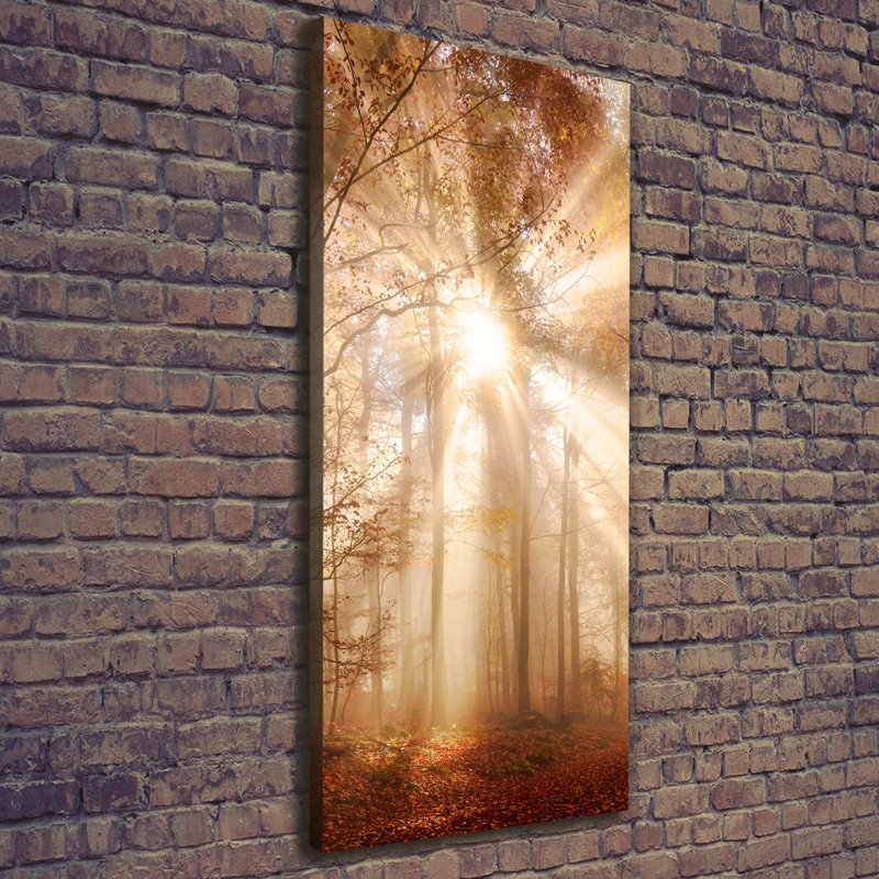 Autumn Forest - Wrapped Canvas Print
