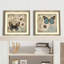«Butterfly Garden II», impression sous verre