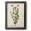 Antique Herb Botanical I - reproduction d'art sur toile encadrée-309662788