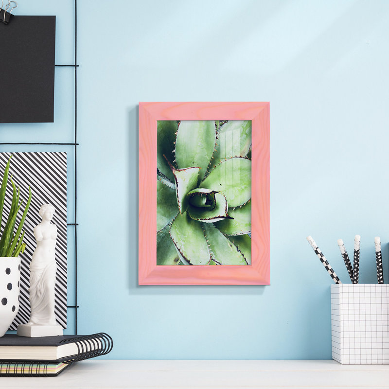 Green Tropical Succulent VI - reproduction d'un seul cadre photo, H 7 po x l 5 po x P 1 po, Rose