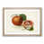 Oak Framed selected