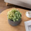 Indoor 8-Inch Concrete Flower Pot Planter-8989413