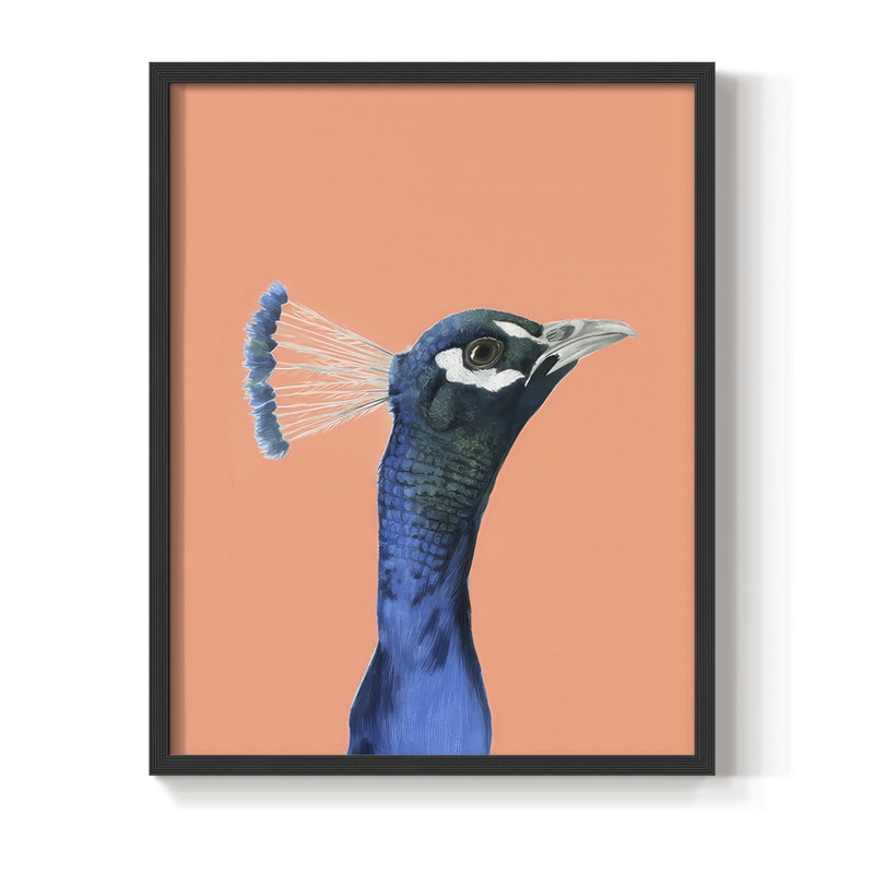 «Peach Peacock Portrait I», reproduction encadrée - bois massif, Noir, noir, noir, noir, H 15 po x l 12 po