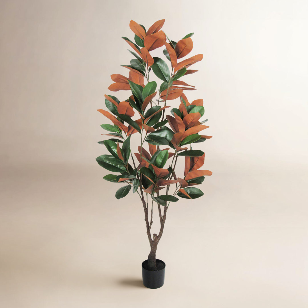 Faux Magnolia Plant in Pot Birch Lane™ 