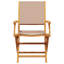 Castres Patio Dining Accent Chair-1568767731