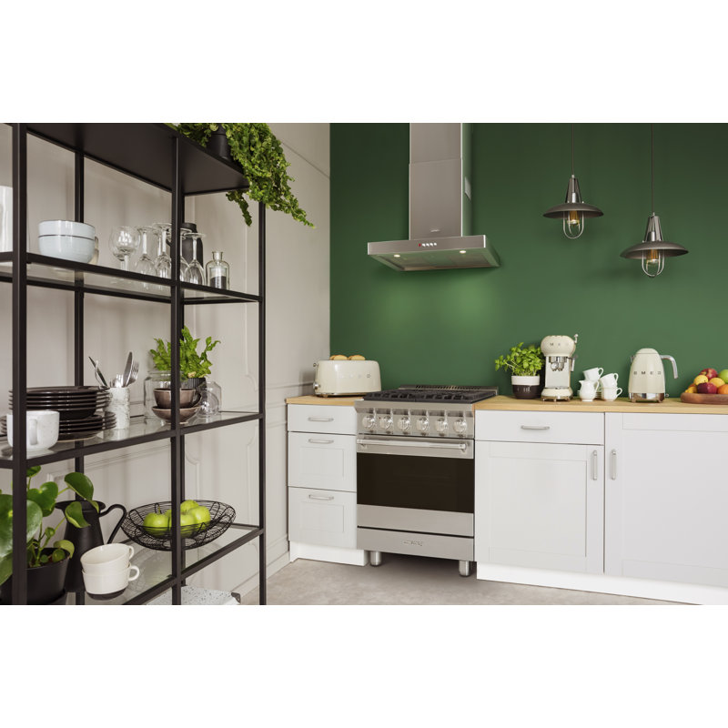 SMEG Cuisinière à gaz 24 po Professional, Argent argent