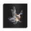 Art mural en métal Rosecliff Heights «You Did What» par Epic Portfolio-2040346943