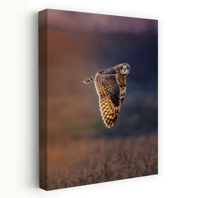 Owl In Golden Flight Contemporary Bird Owl Forest Wall Art Print 1 Piece Wrapped Canvas Wall Art