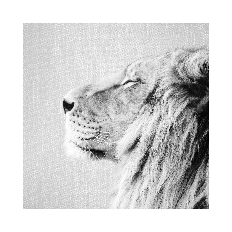 Portrait de lion en noir et blanc par Gal Design - Toile tendue avec châssis sur toile tendue, H 12 po x l 12 po x P 0,75 po