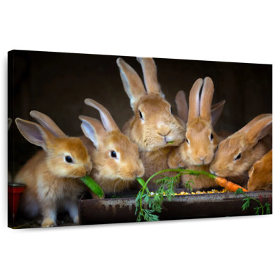 Diner Brampt Bunny