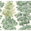 Central Park Wallcovering-1517375545