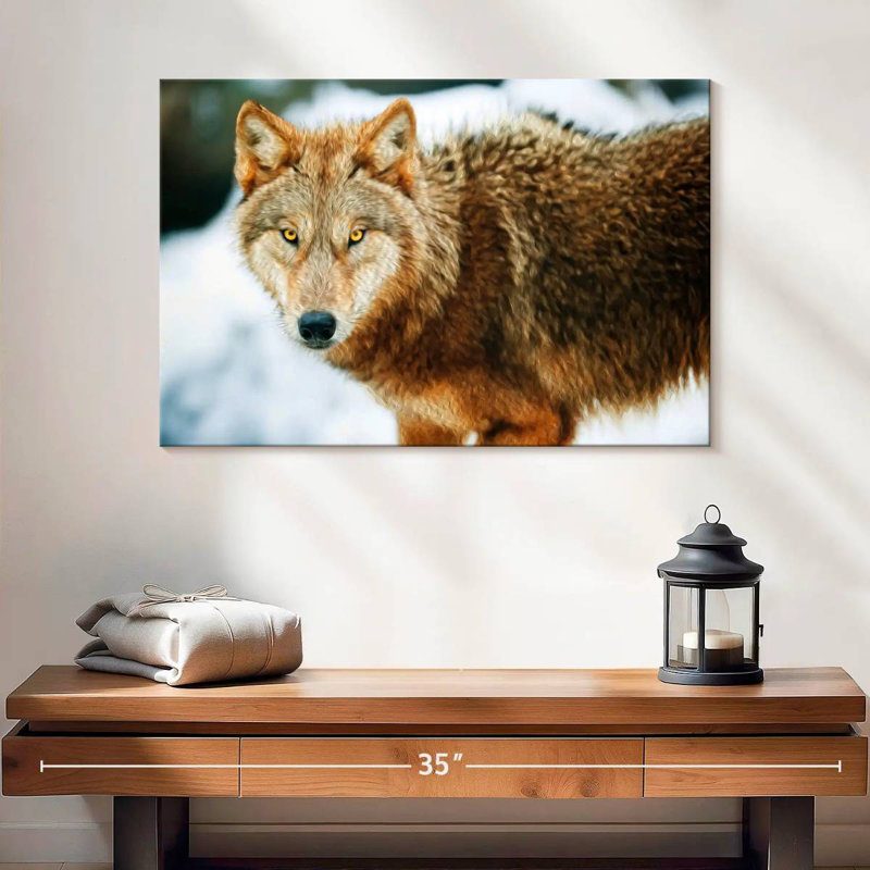 Brampt Brown Wolf, 16'' H x 24'' W