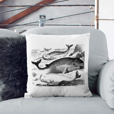 Square Throw Cushion