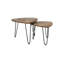 Novalee Nesting Tables