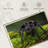 Brazilian Black Tarantula-7661565
