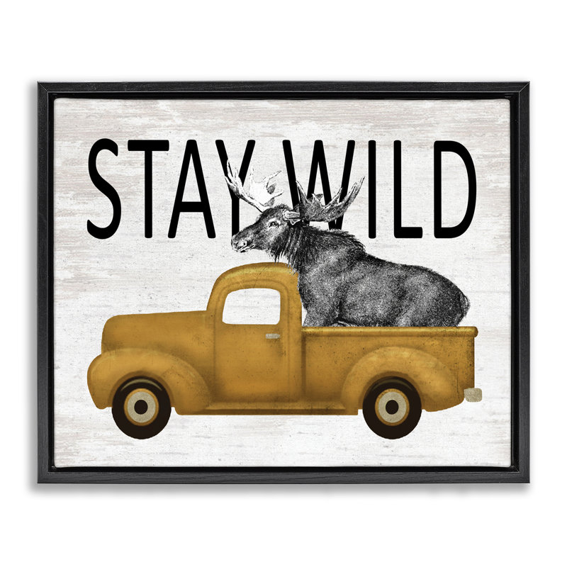 Cadre flottant Stay Wild Moose, H 25 po x l 31 po, Cadre flottant noir de jais